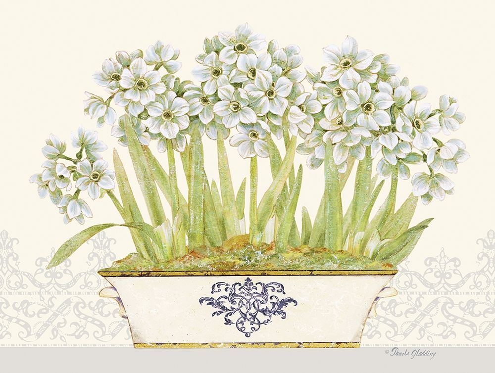 Imperial Narcissus Horizontal art print by Pamela Gladding for $57.95 CAD