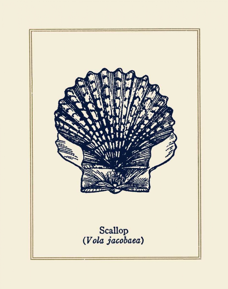 Scallop Shell art print by Gregory Gorham for $57.95 CAD