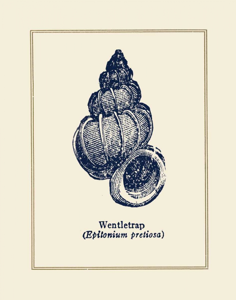 Wentletrap Shell art print by Gregory Gorham for $57.95 CAD