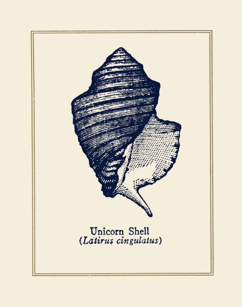 Unicorn Shell art print by Gregory Gorham for $57.95 CAD