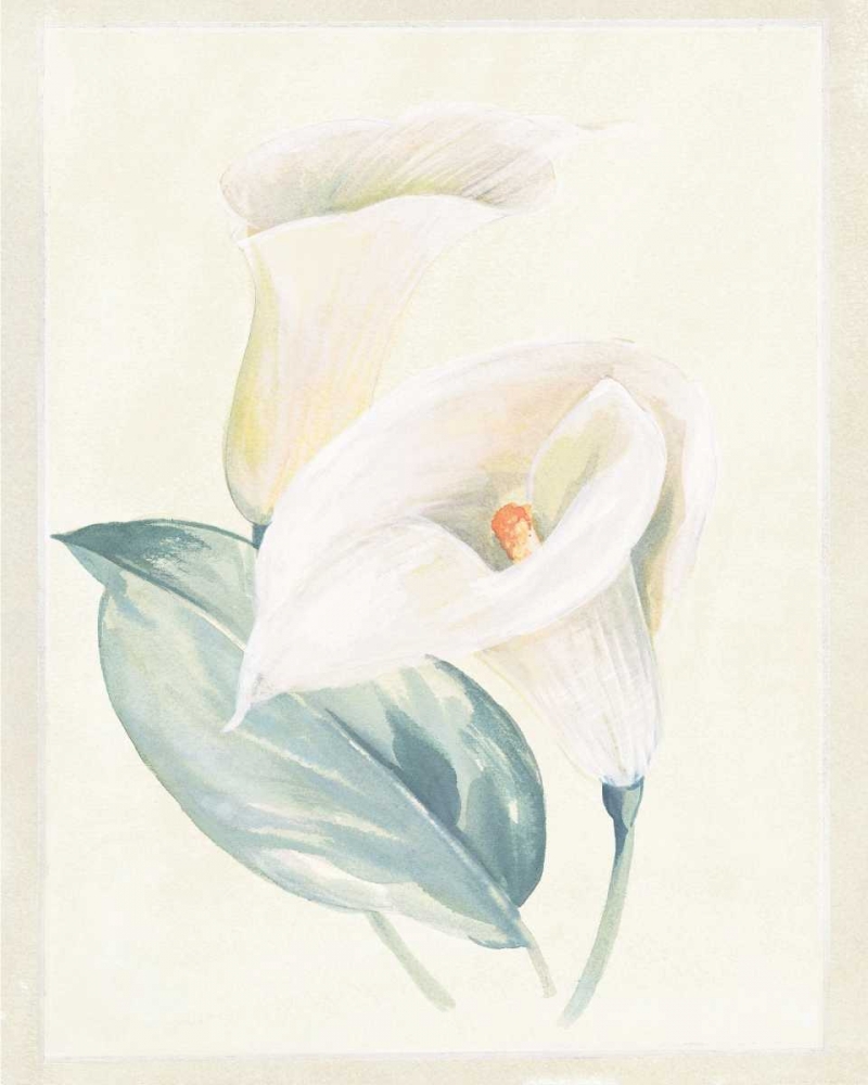 Calla Lily I art print by Paul Hargittai for $57.95 CAD
