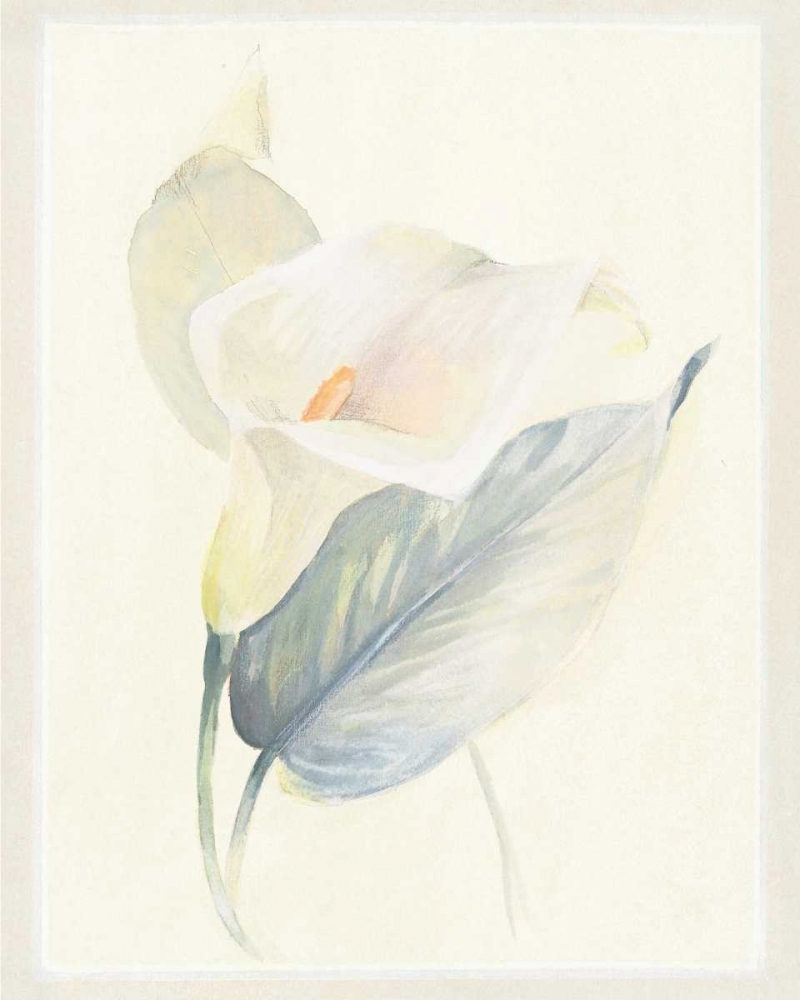 Calla Lily III art print by Paul Hargittai for $57.95 CAD