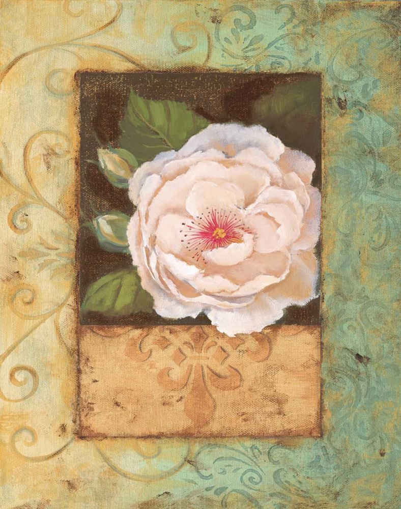 Antique Rose II art print by Jillian Jeffrey for $57.95 CAD