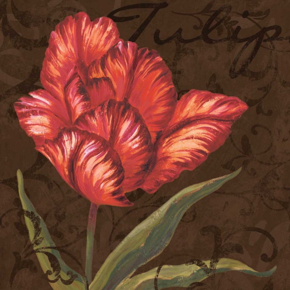 Tulipa I art print by Jillian Jeffrey for $57.95 CAD