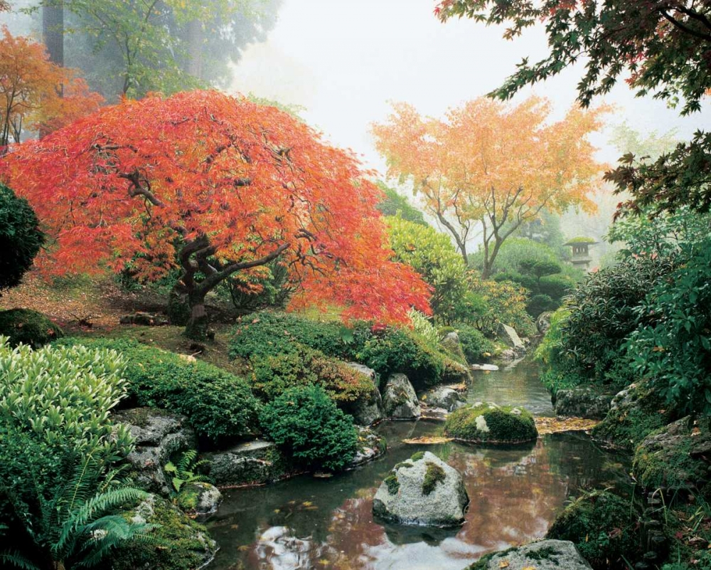 Japanese Garden I art print by Maureen Love for $57.95 CAD