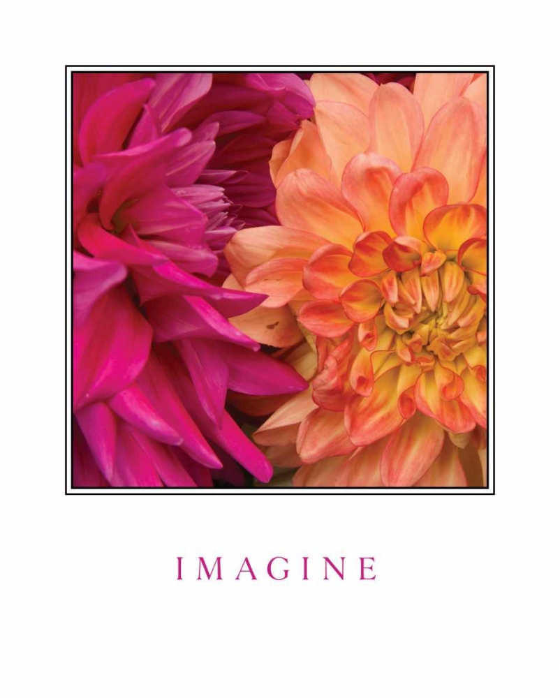 Imagine Flowers art print by Maureen Love for $57.95 CAD