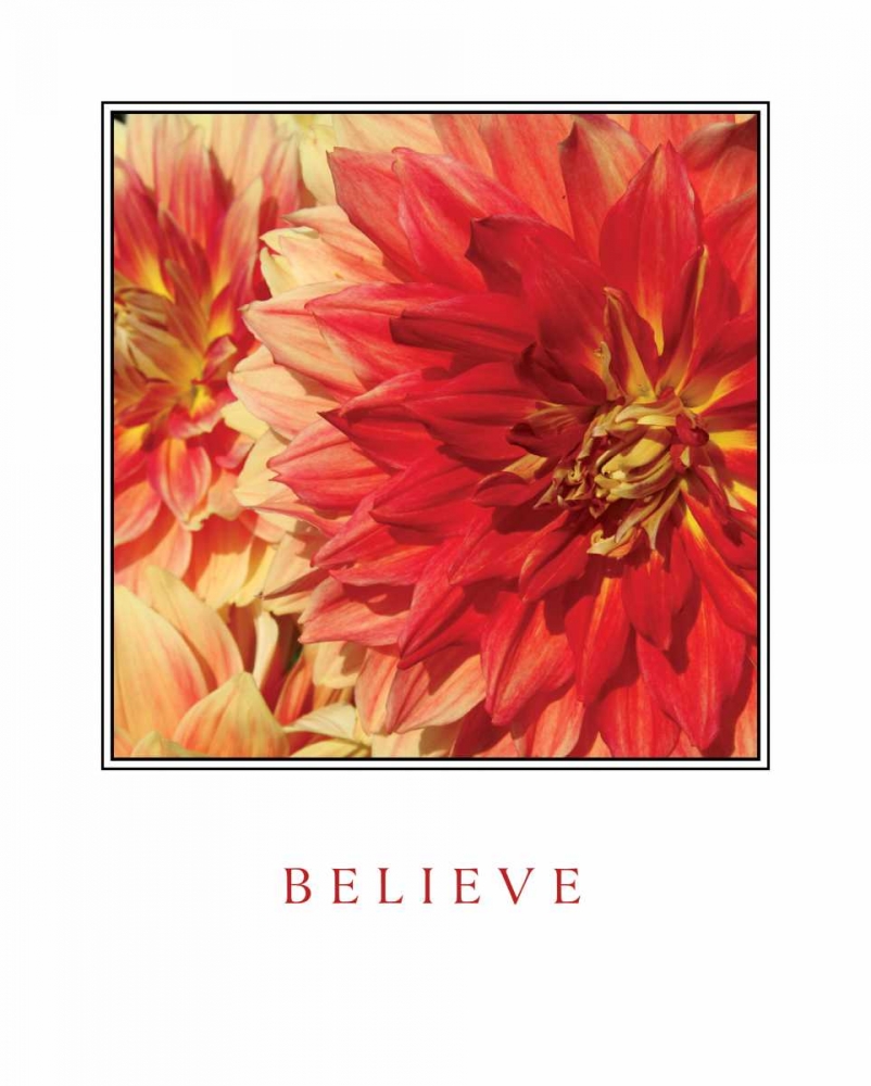Believe Flowers art print by Maureen Love for $57.95 CAD