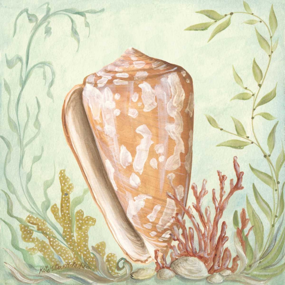Seashells and Coral IV art print by Kate McRostie for $57.95 CAD