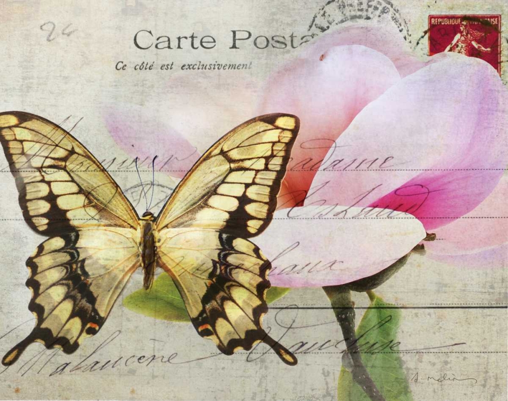 Carte Postale Magnolia I art print by Amy Melious for $57.95 CAD