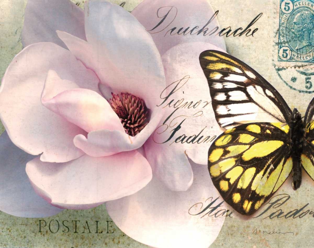 Carte Postale Magnolia II art print by Amy Melious for $57.95 CAD