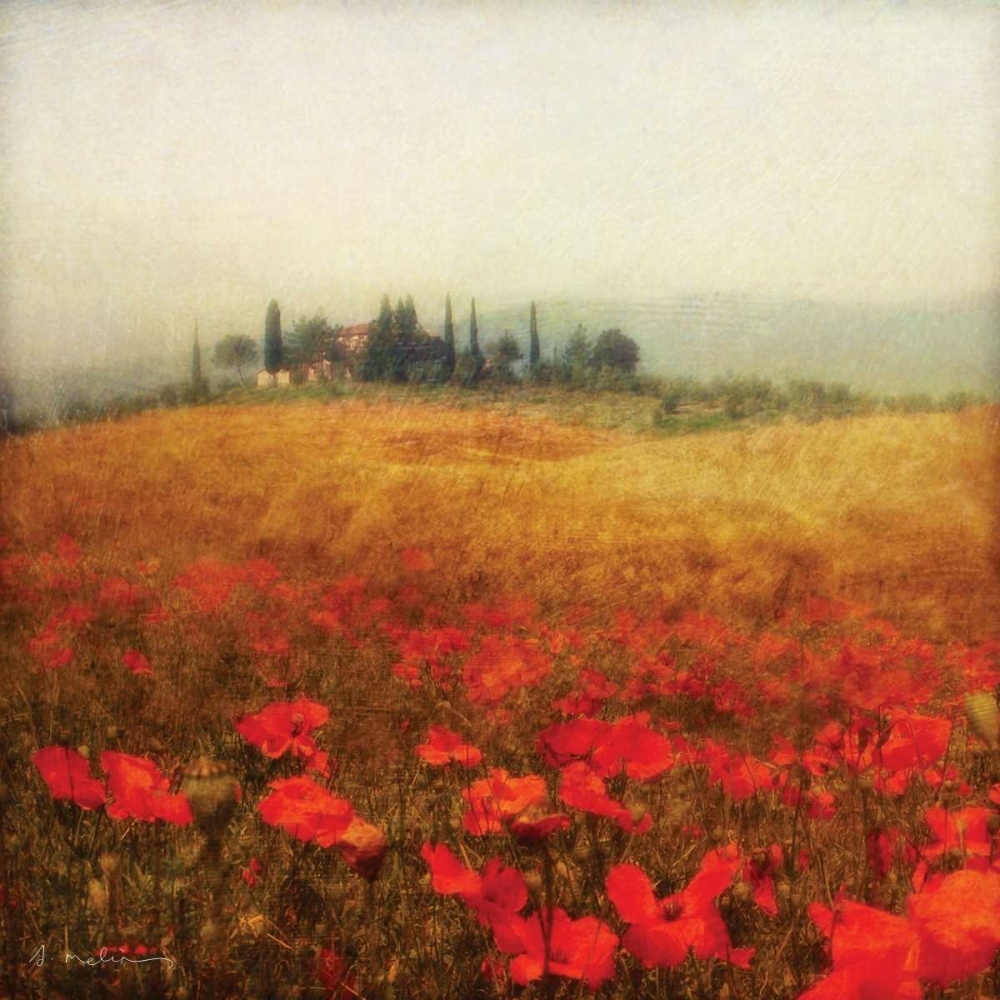 Tuscan Poppies art print by Amy Melious for $57.95 CAD