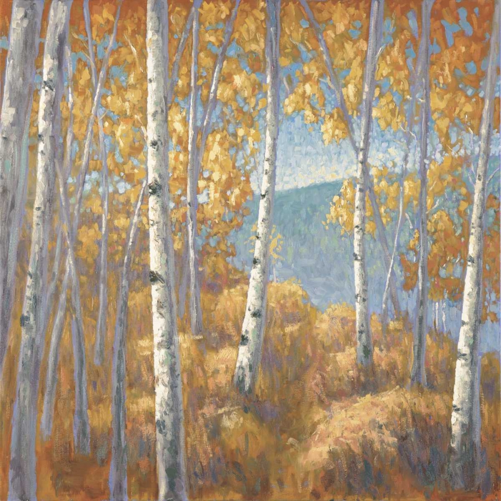 Fall Aspen I art print by John Macnab for $57.95 CAD