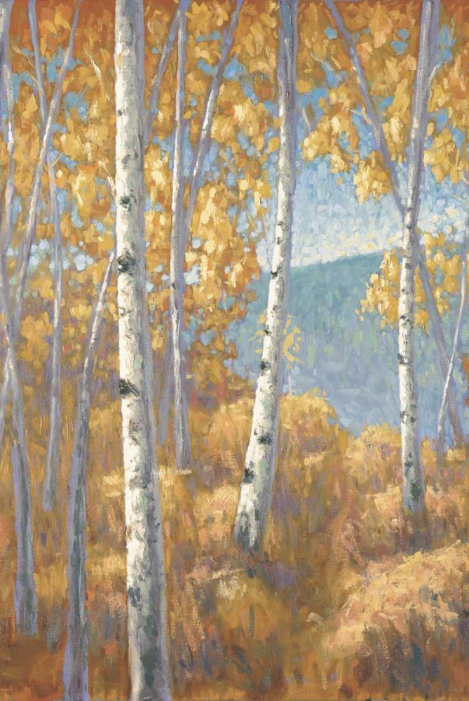 Aspen Forest I art print by John Macnab for $57.95 CAD