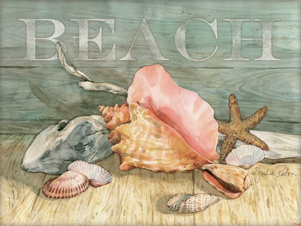 Beach Shells Still LIfe art print by Julie Paton for $57.95 CAD