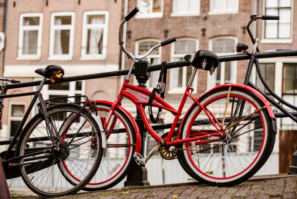 Amsterdam Red Bicycle art print by Erin Berzel for $57.95 CAD