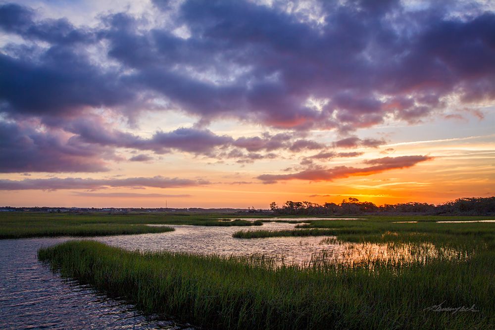 Sunset in the Marsh art print by Alan Hausenflock for $57.95 CAD