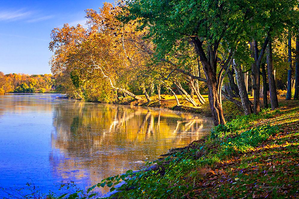 Reflections of Autumn art print by Alan Hausenflock for $57.95 CAD