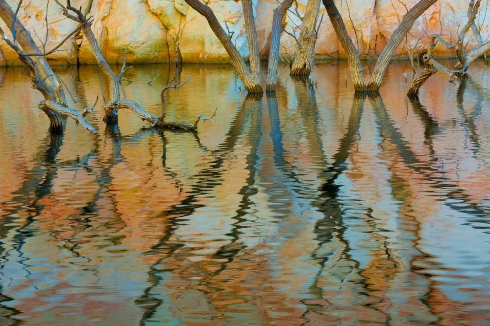 Lake Powell Reflections II art print by Kathy Mahan for $57.95 CAD