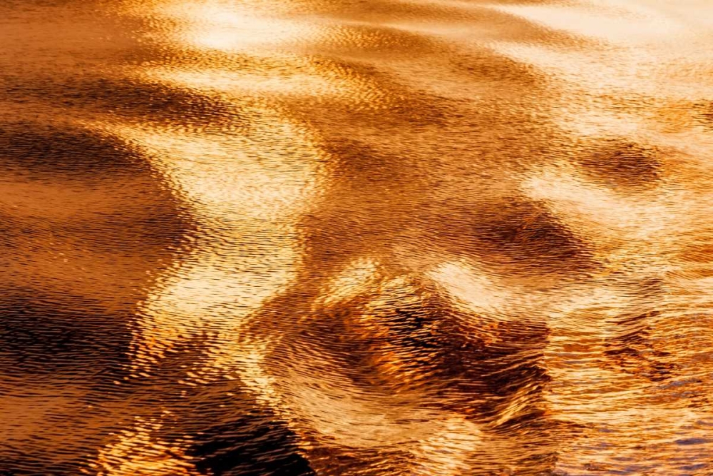 Golden Water I art print by Kathy Mahan for $57.95 CAD