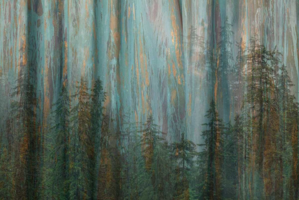 Forest I art print by Kathy Mahan for $57.95 CAD