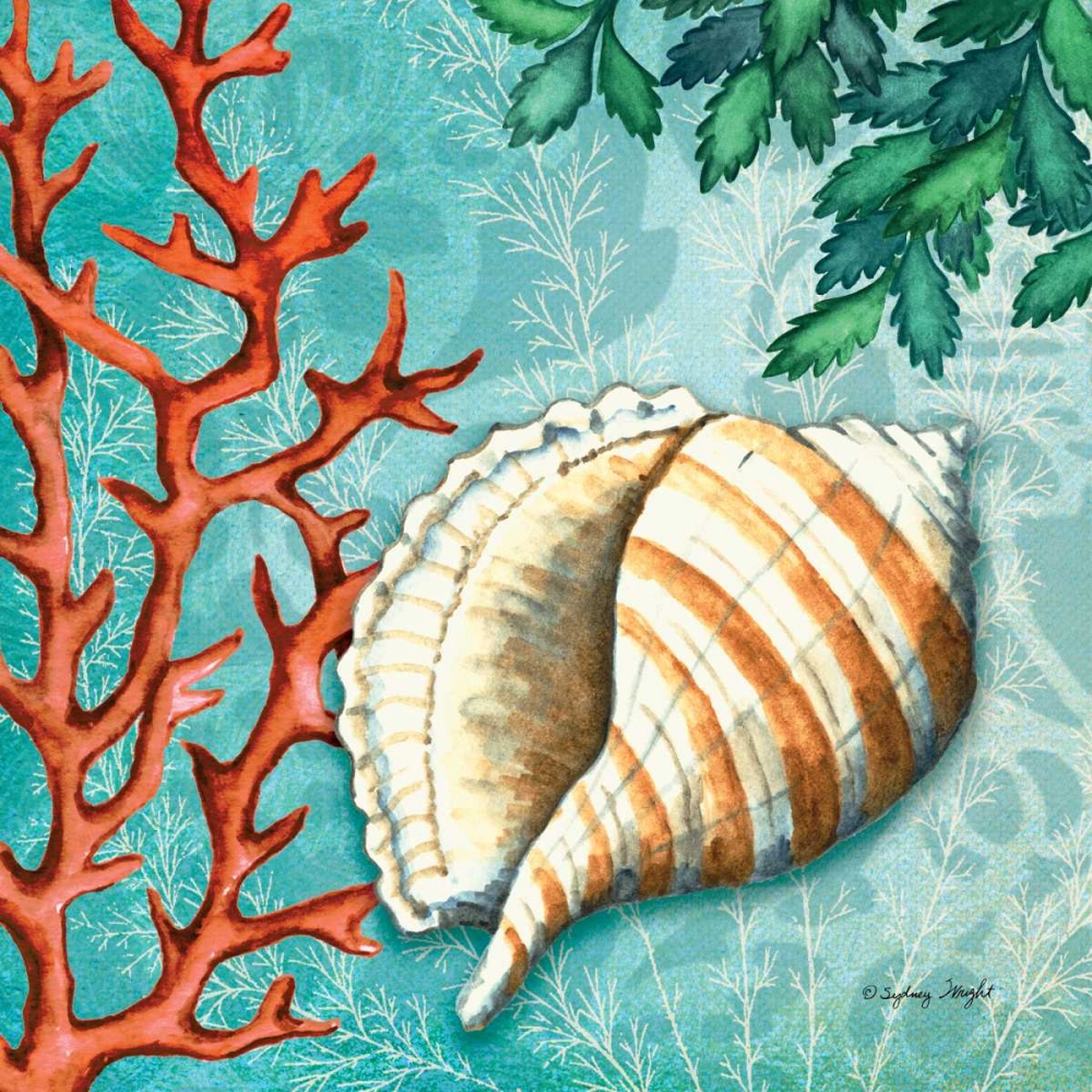 Conch art print by Sydney Wright for $57.95 CAD