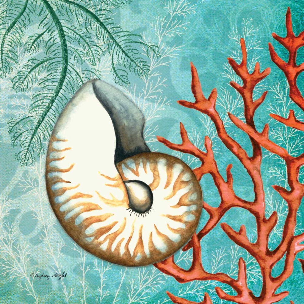 Nautilus art print by Sydney Wright for $57.95 CAD