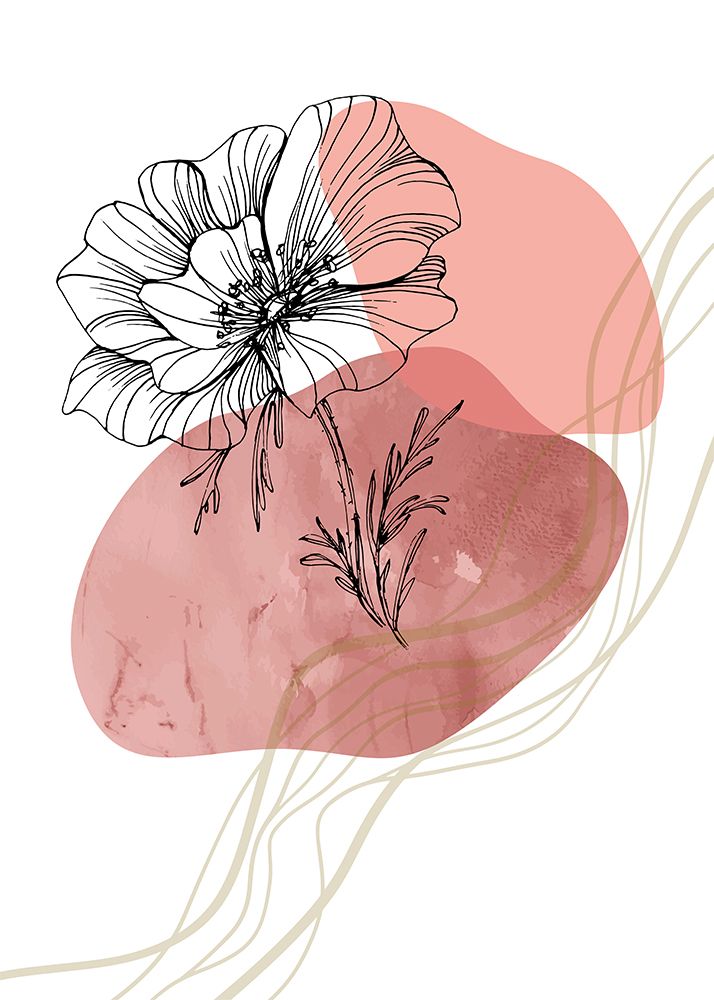 Poppy blossom art print by AcantStudio for $57.95 CAD