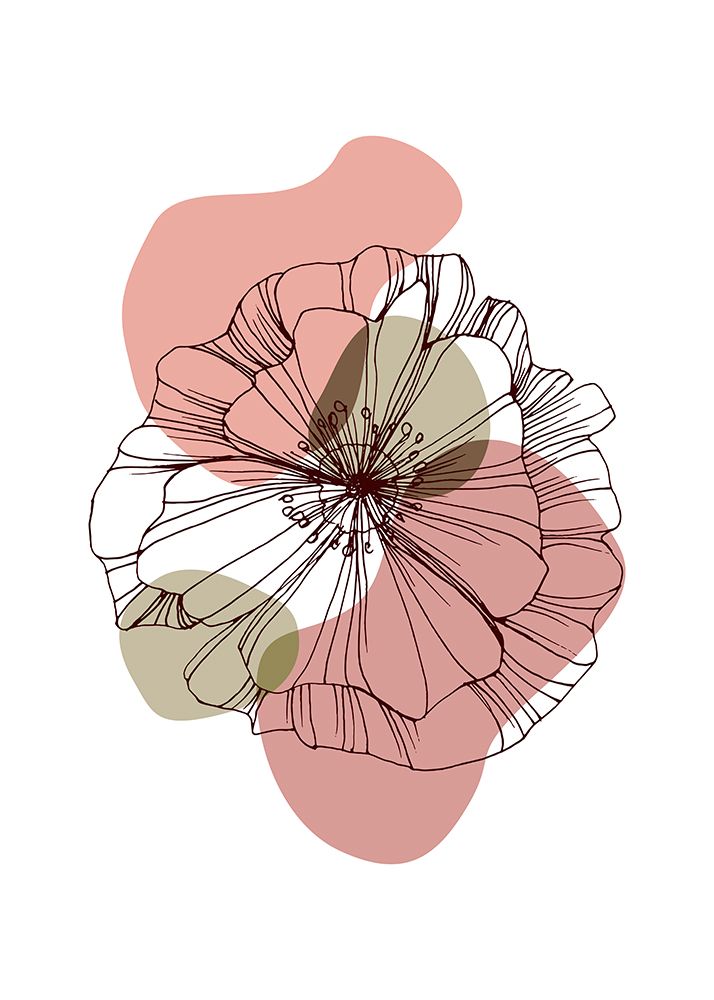 Poppy flower art print by AcantStudio for $57.95 CAD