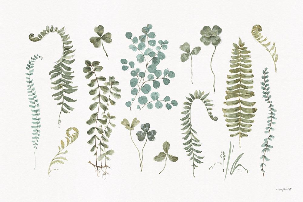 Fern Study 01 art print by Lisa Audit for $57.95 CAD
