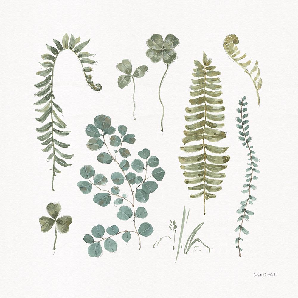 Fern Study 02 art print by Lisa Audit for $57.95 CAD