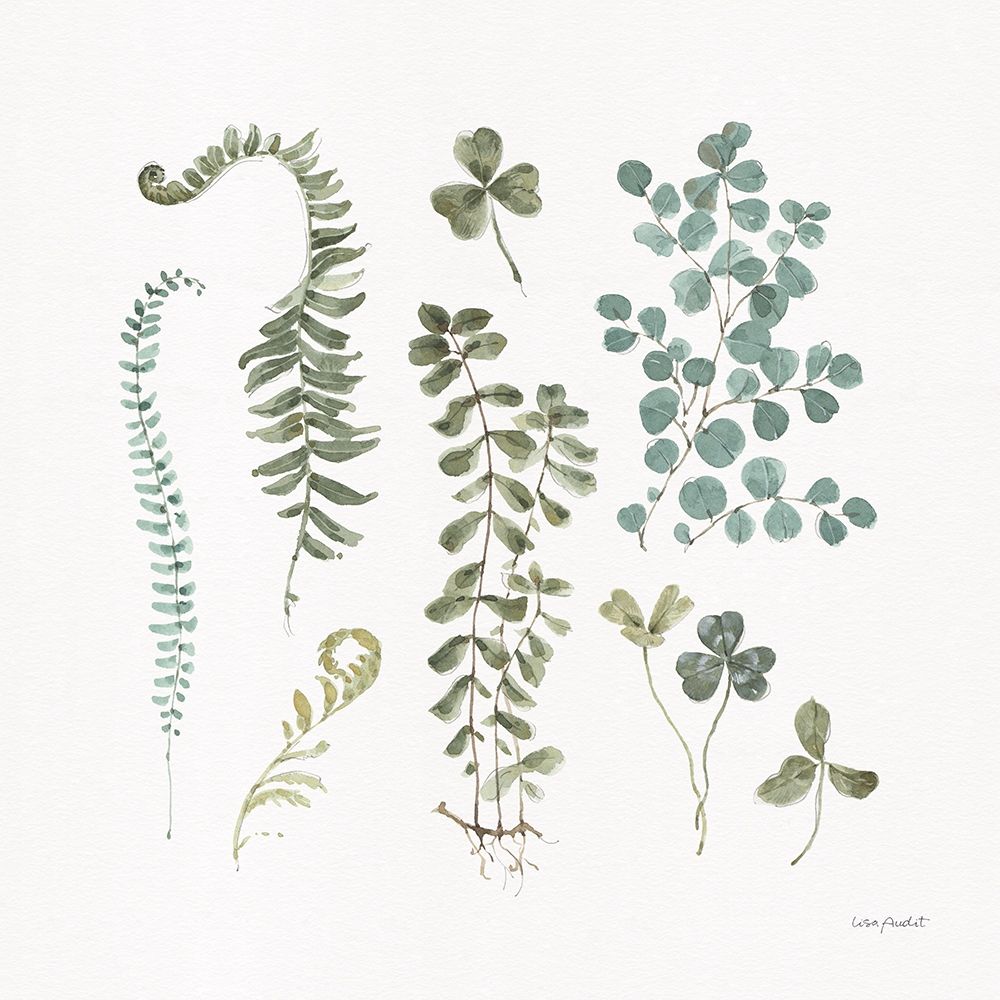 Fern Study 03 art print by Lisa Audit for $57.95 CAD