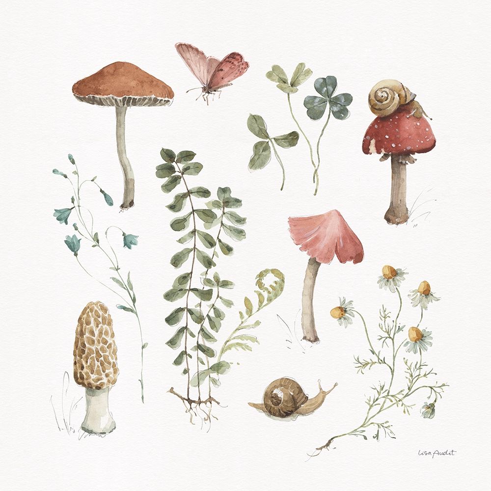 Forest Treasures 02 art print by Lisa Audit for $57.95 CAD