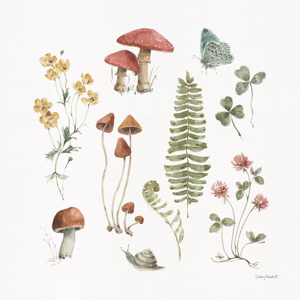 Forest Treasures 03 art print by Lisa Audit for $57.95 CAD