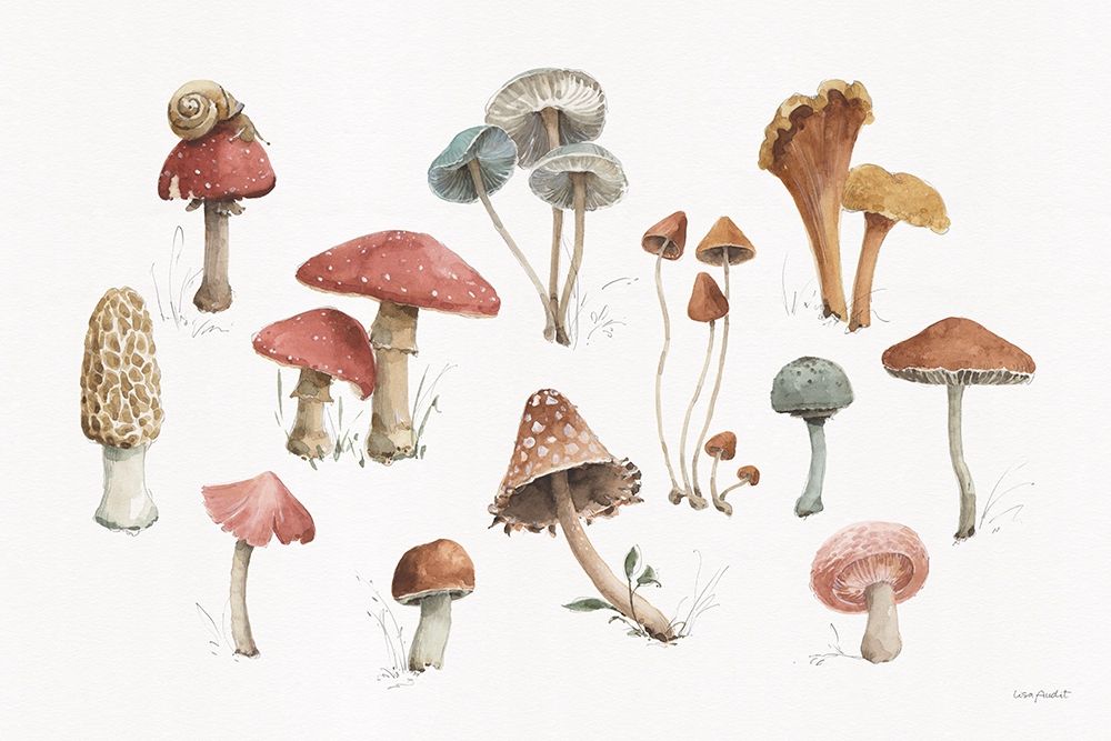 Mushroom Medley 01 art print by Lisa Audit for $57.95 CAD