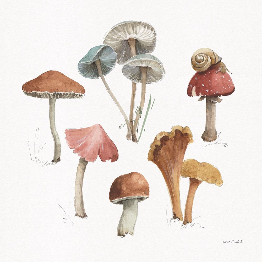 Mushroom Medley 02 art print by Lisa Audit for $57.95 CAD