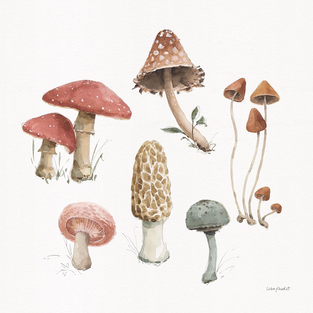 Mushroom Medley 03 art print by Lisa Audit for $57.95 CAD