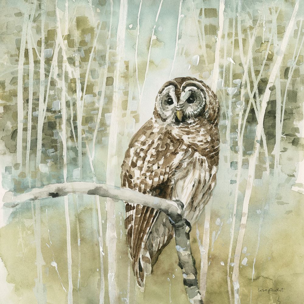 Natures Call III neutral art print by Lisa Audit for $57.95 CAD