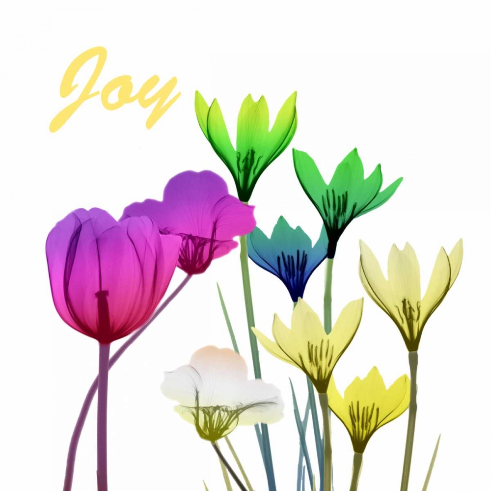 Floral Pop Joy art print by Albert Koetsier for $63.95 CAD