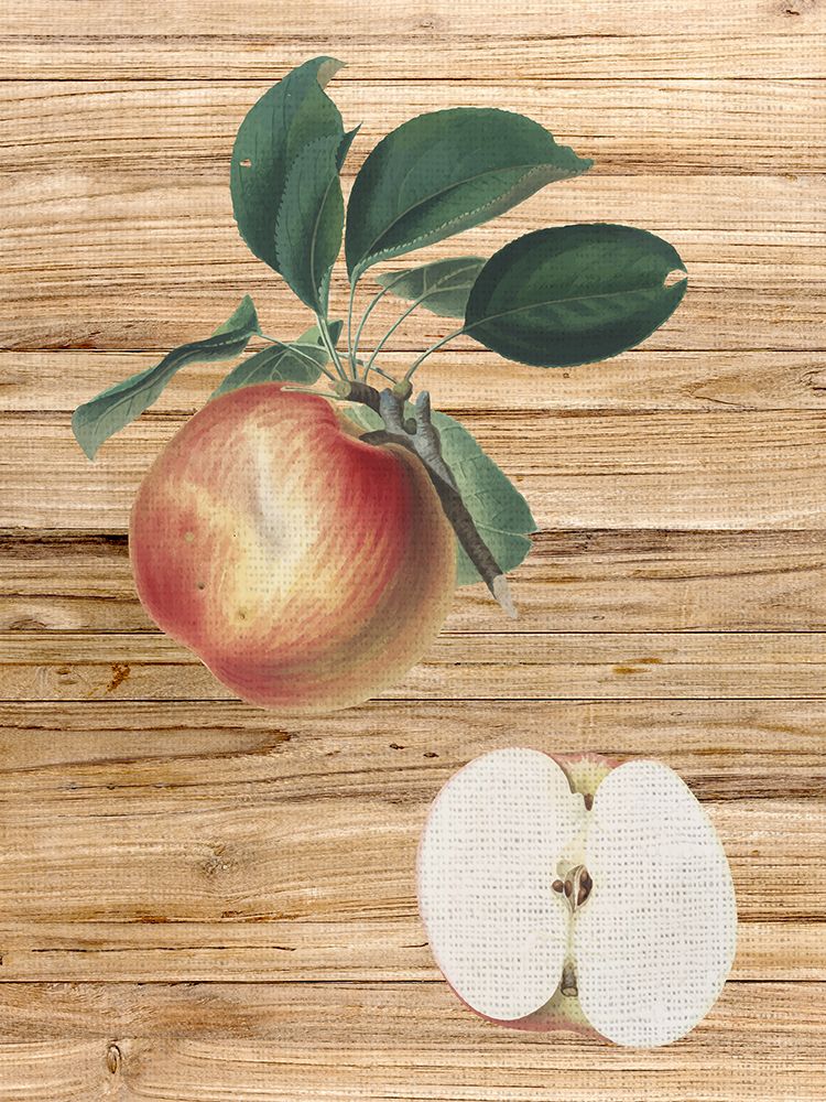 Pressed Fruit 1 art print by Ann Bailey for $57.95 CAD