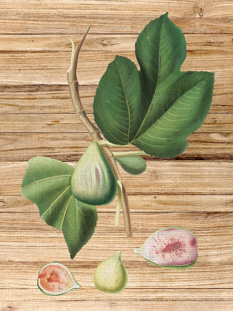 Pressed Fruit 2 art print by Ann Bailey for $57.95 CAD