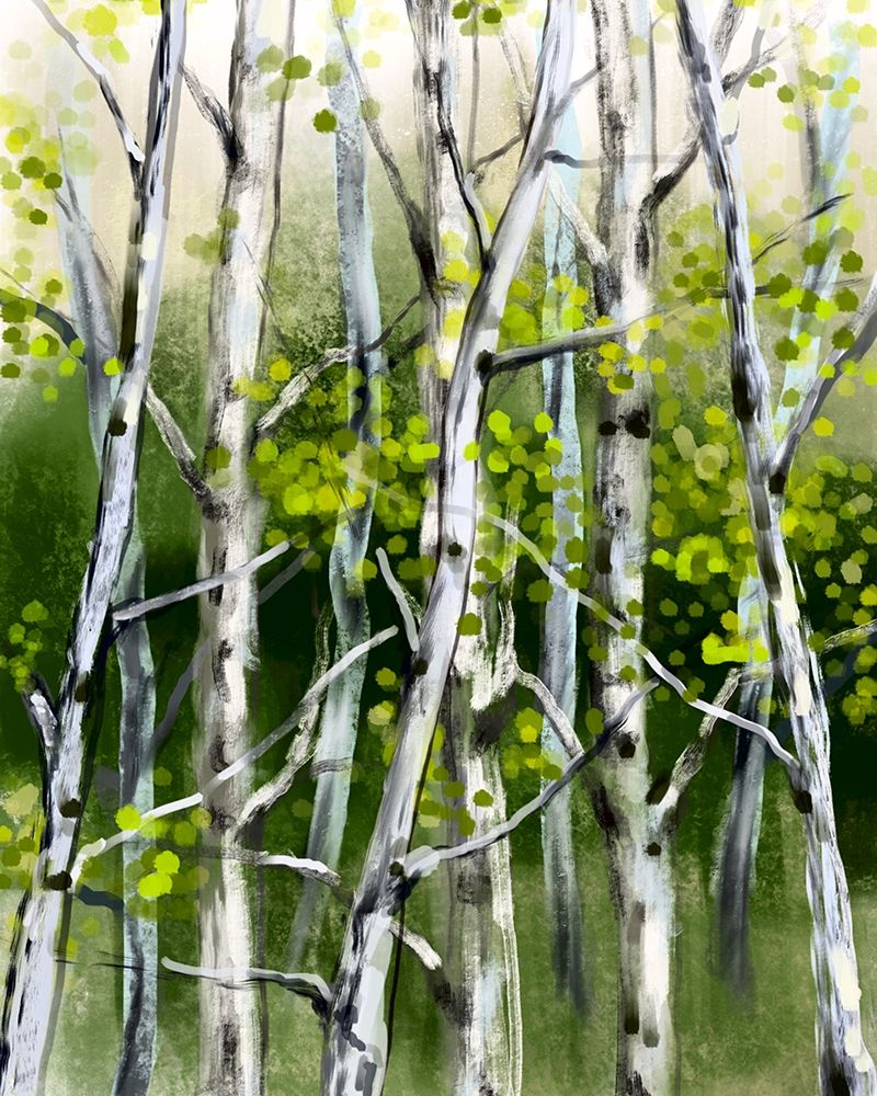 Wild Birch art print by Boho Hue Studio for $57.95 CAD