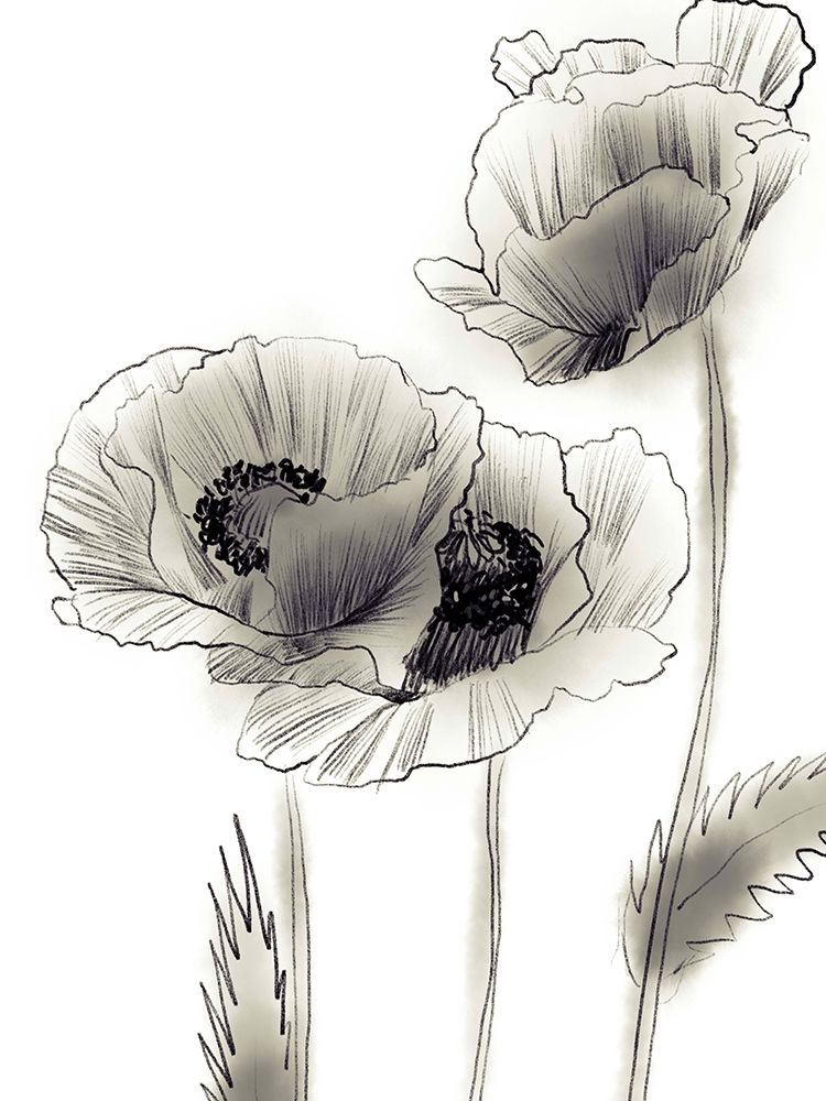 Sketched Poppies 2 art print by Boho Hue Studio for $57.95 CAD
