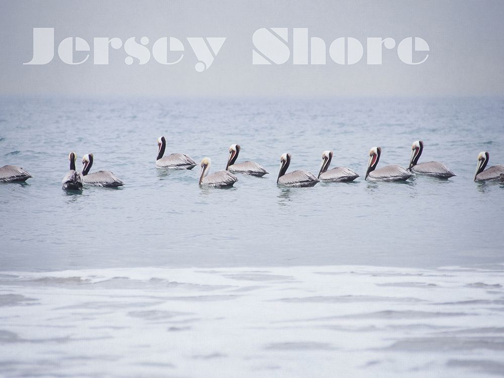 Jersey In A Row art print by Elizabeth Urquhart for $57.95 CAD