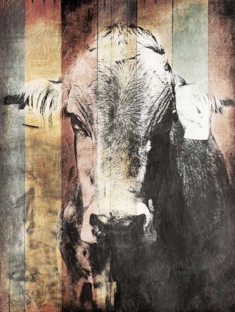 Miultiwood Vintage Cow art print by Jace Grey for $57.95 CAD