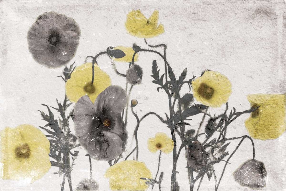 Stone Wash Poppies Light art print by Jace Grey for $57.95 CAD
