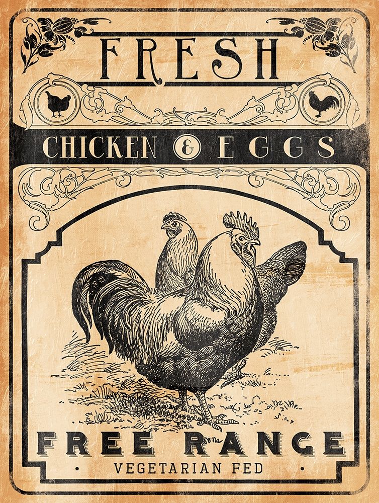 Chicken Eggs art print by Jace Grey for $57.95 CAD