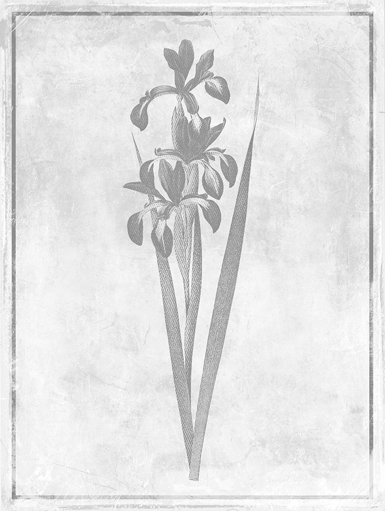 Monochrome Floral Cleaner 4 art print by Jace Grey for $57.95 CAD