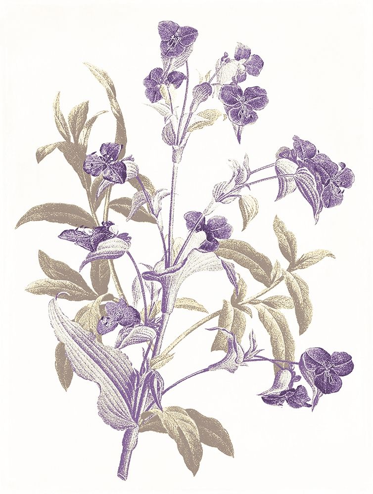 Lavender Flowers art print by Jace Grey for $57.95 CAD