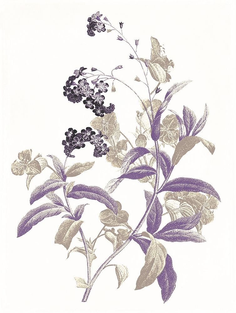 Lavender Flowers Two art print by Jace Grey for $57.95 CAD