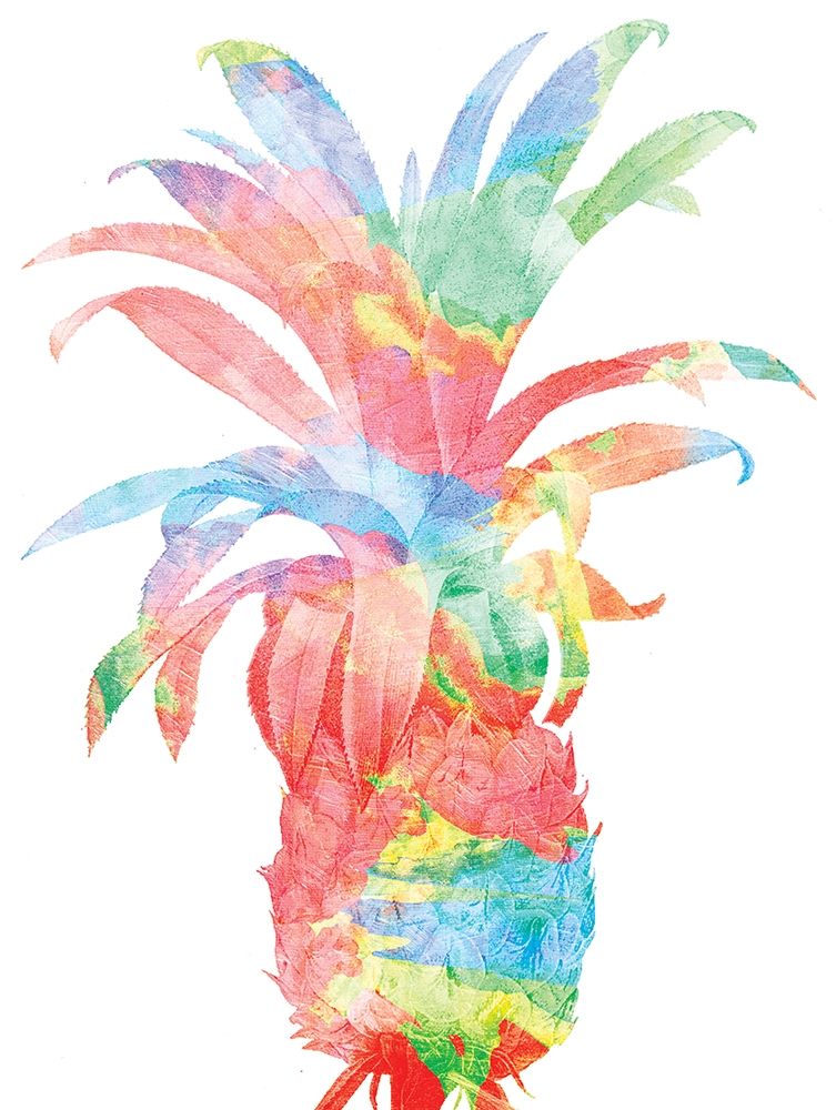Pineapple Colorsplosion art print by Jace Grey for $57.95 CAD
